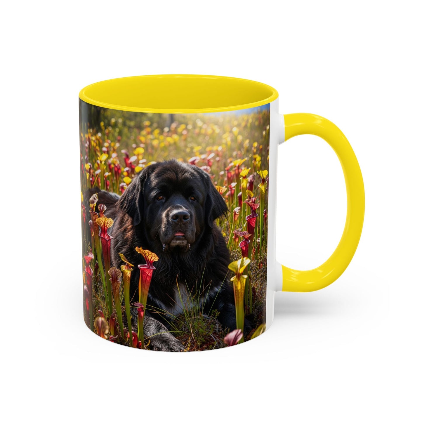 Keramiktasse mit Hunderassen-Motiv – 11 oz & 15 oz