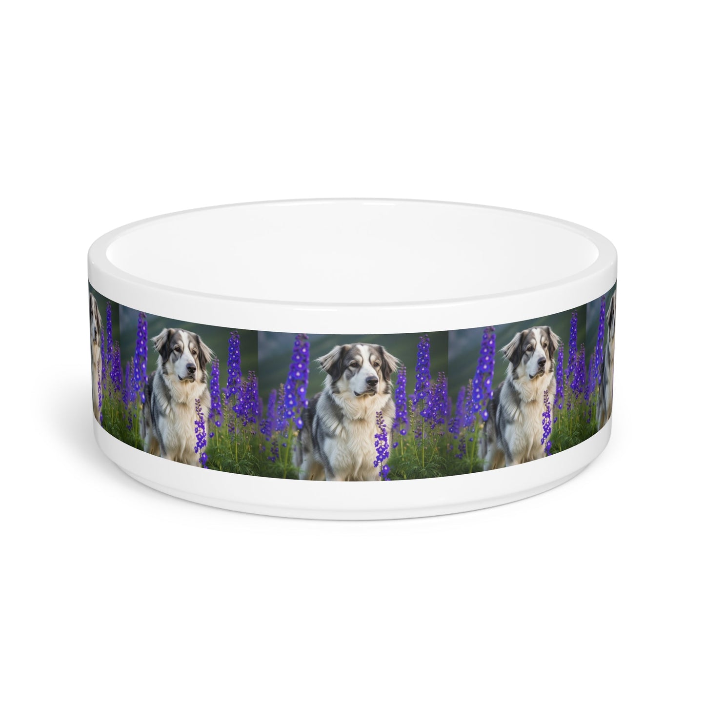 Gamelle en céramique pour animaux de compagnie – Gamelle de 47 cl pour chien