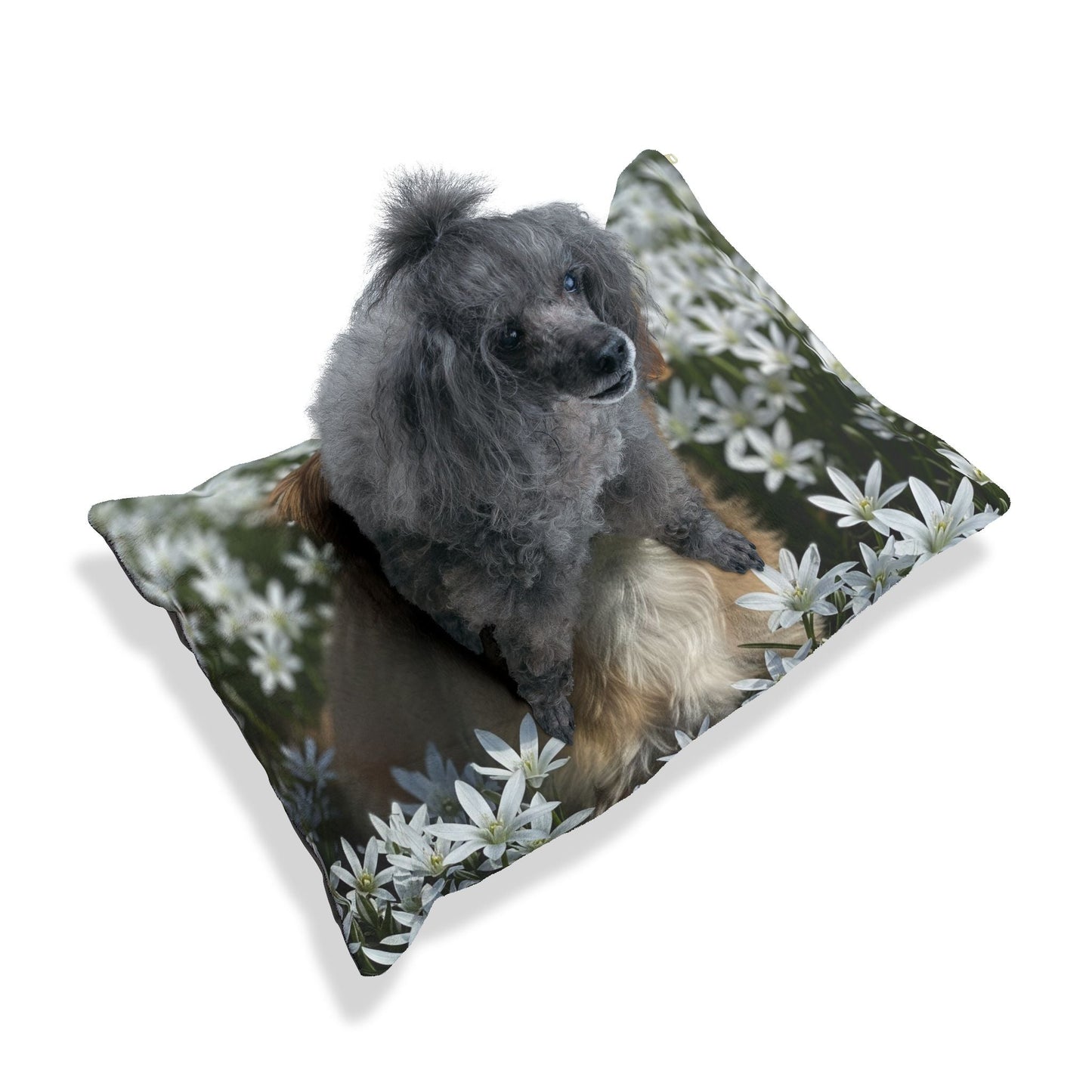 Pet Bed – Plush Dog Bed, 3 Size Options