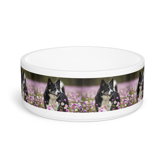 Ceramic Pet Bowl – 16 oz Dog Feeding Bowl