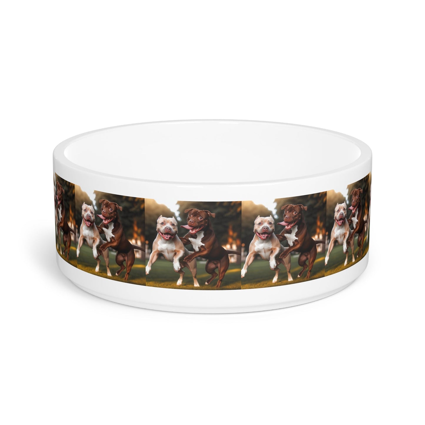 Ceramic Pet Bowl – 16 oz Dog Feeding Bowl