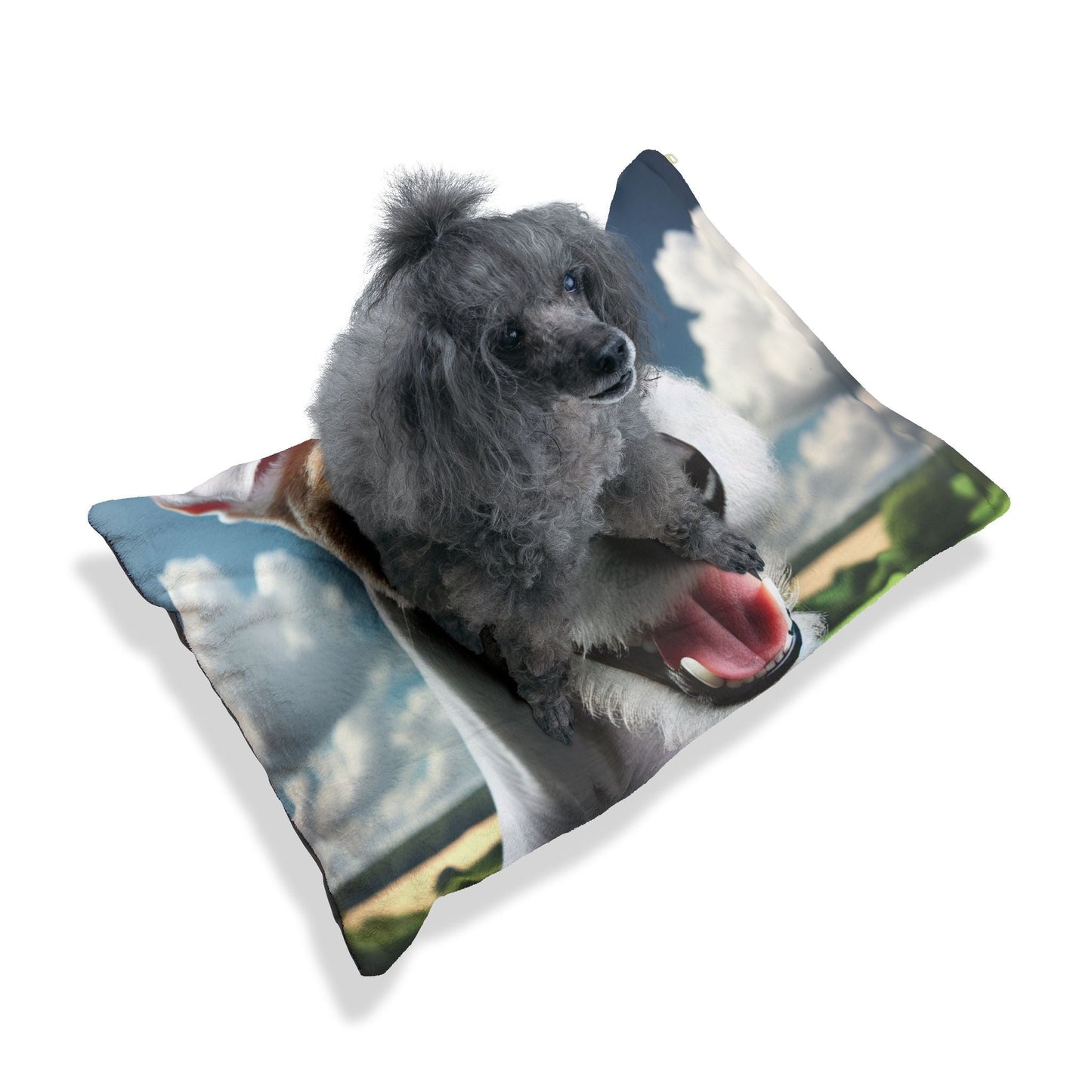 Lit pour animaux de compagnie – Lit douillet pour chien, 3 tailles disponibles
