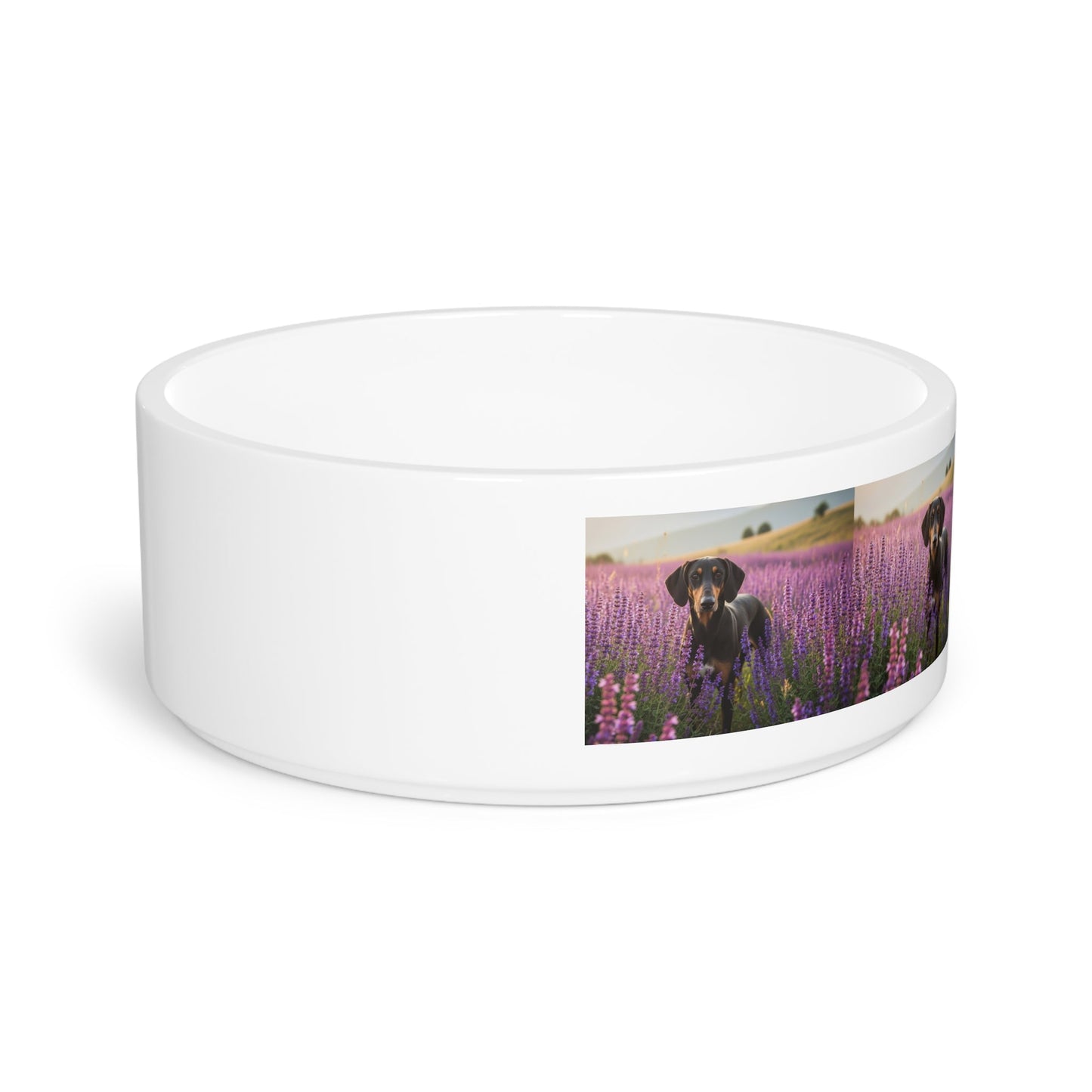 Ceramic Pet Bowl – 16 oz Dog Feeding Bowl