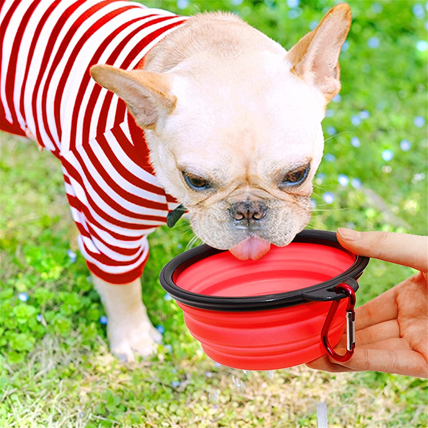 5" Portable and Foldable Small Dog Bowl-Red set of 5