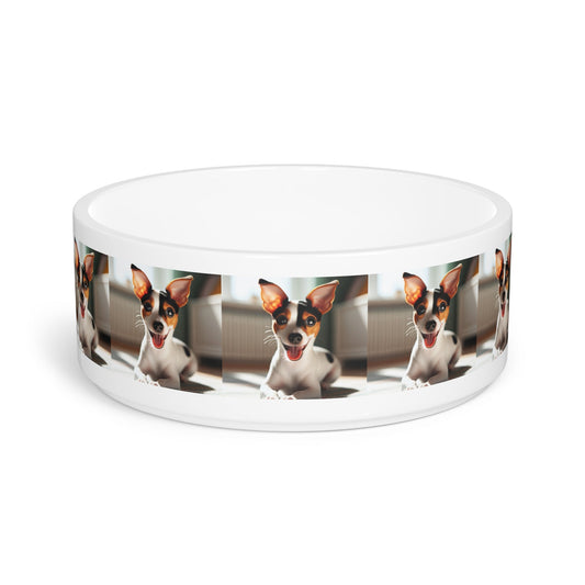 Ceramic Pet Bowl – 16 oz Dog Feeding Bowl