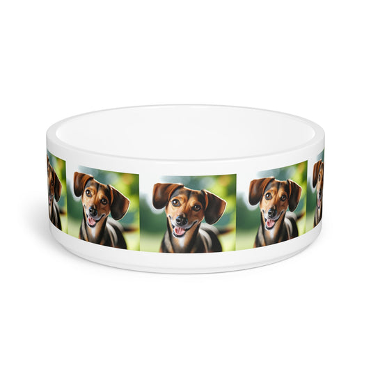 Ceramic Pet Bowl – 16 oz Dog Feeding Bowl