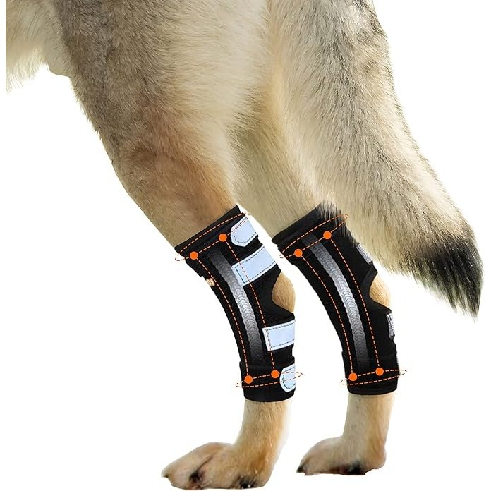 NeoAlly Hunde-Hinterbein-Hock-Bandage mit Metallfederstreifen für große Hunde [Lange Version] (Paar)