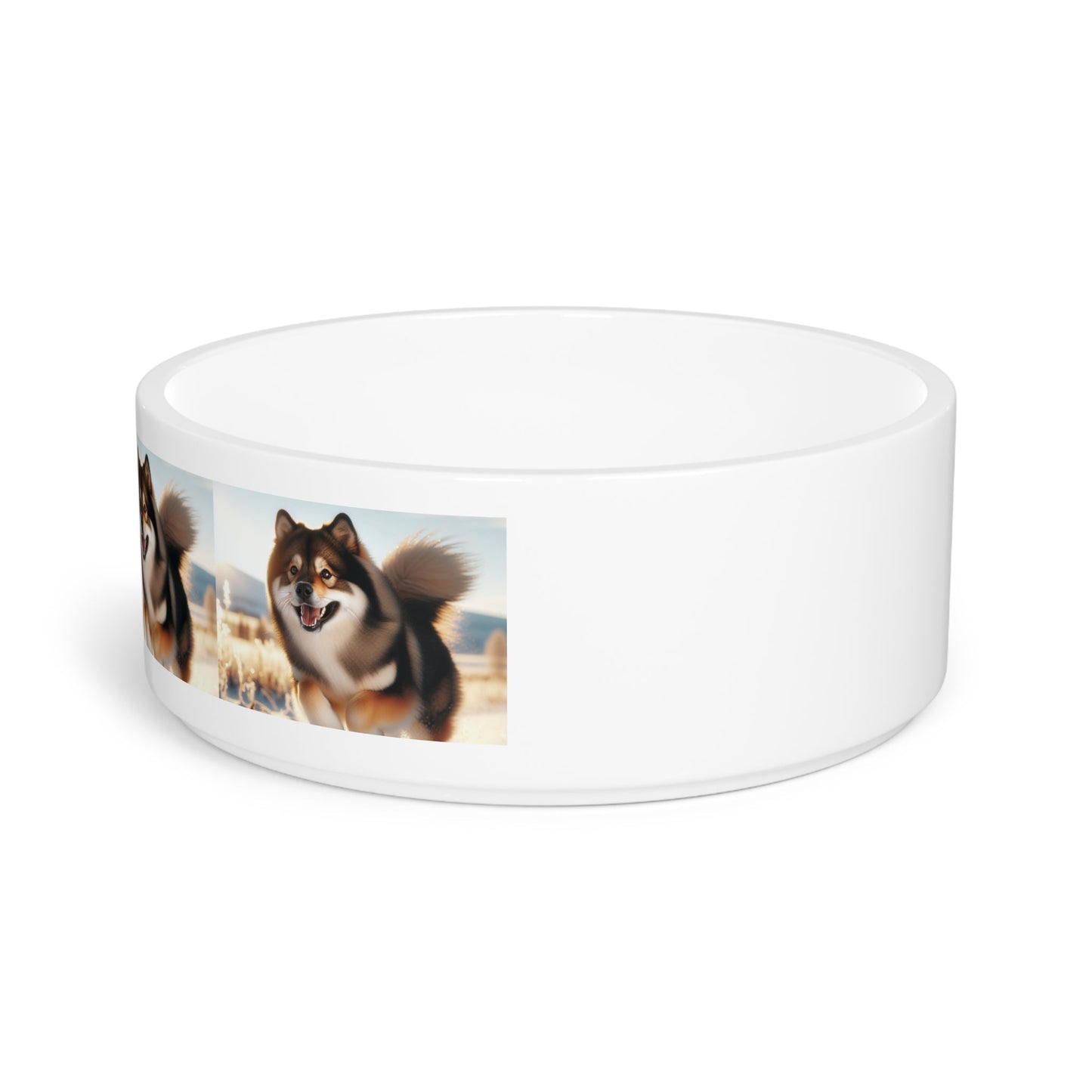 Ceramic Pet Bowl – 16 oz Dog Feeding Bowl