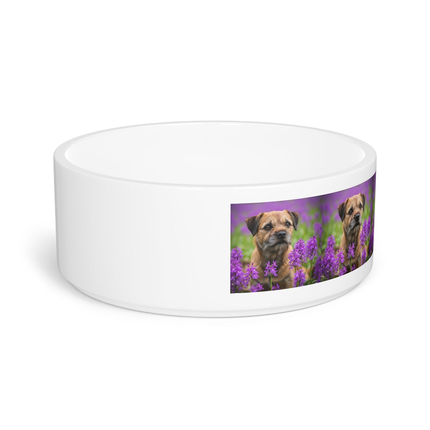 Gamelle en céramique pour animaux de compagnie – Gamelle de 47 cl pour chien