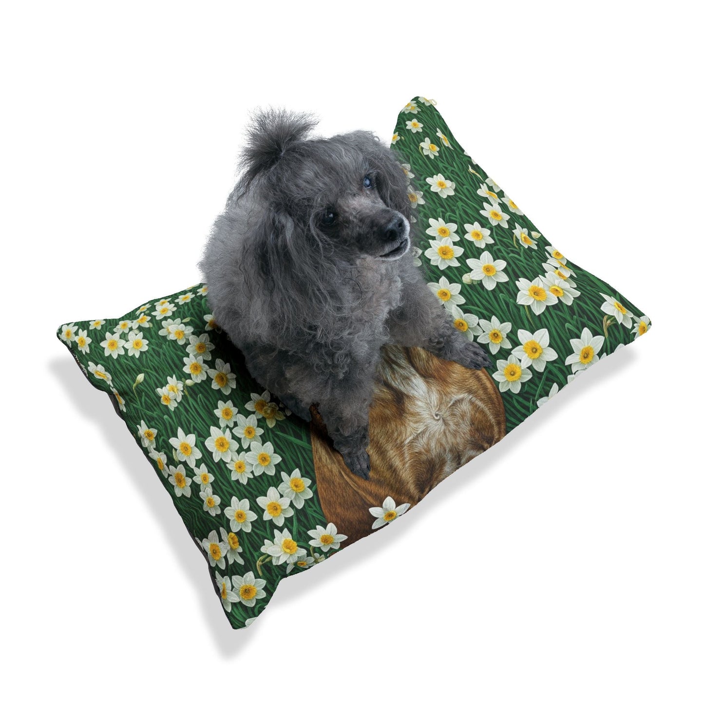 Lit pour animaux de compagnie – Lit douillet pour chien, 3 tailles disponibles