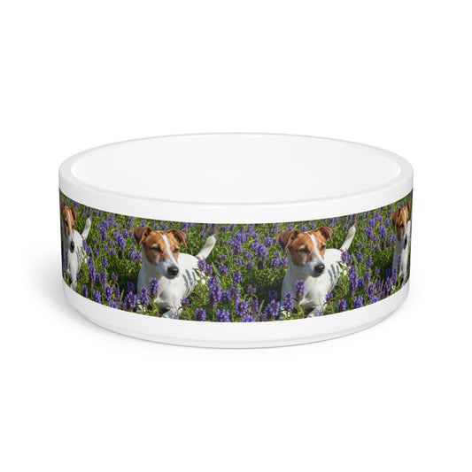 Ceramic Pet Bowl – 16 oz Dog Feeding Bowl