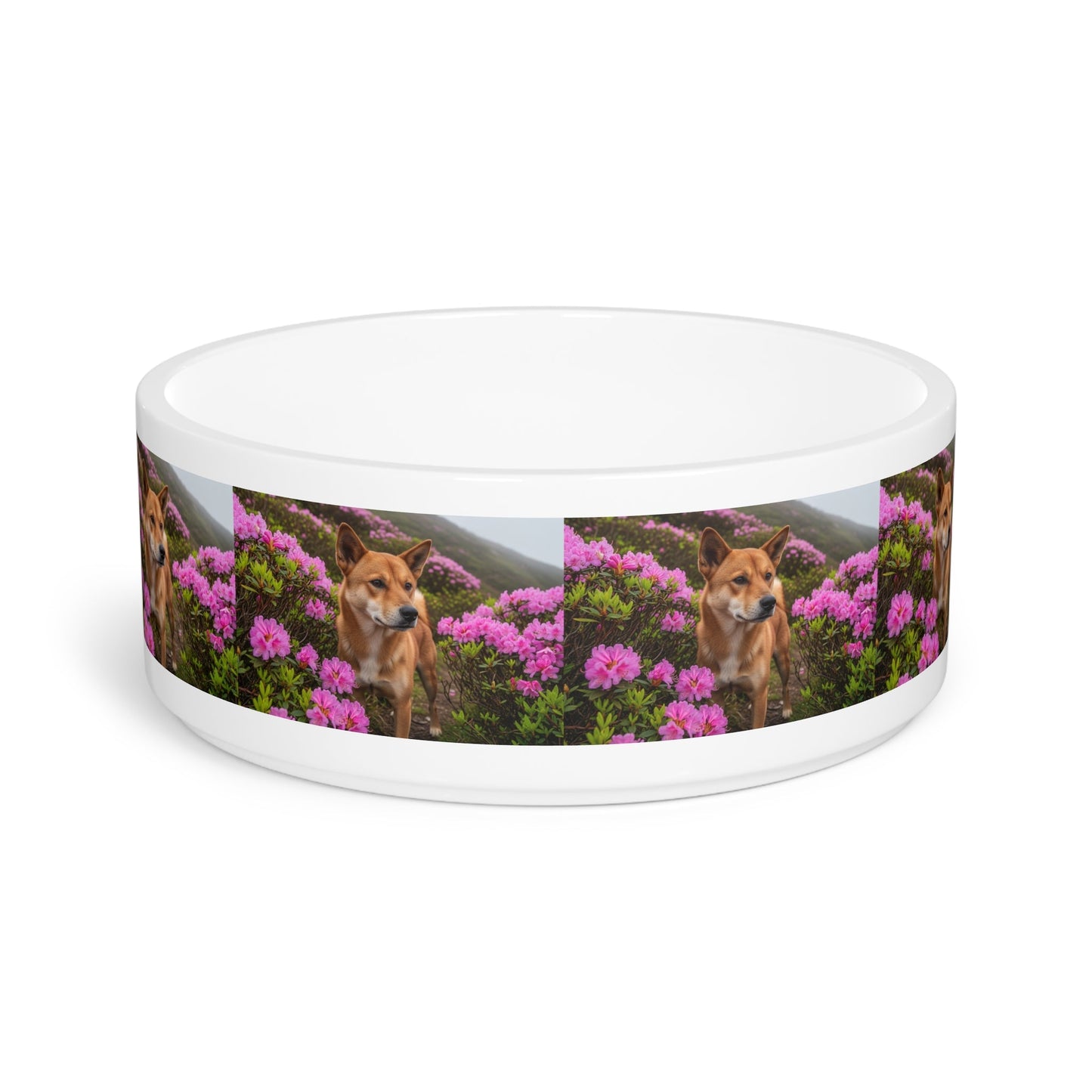 Ceramic Pet Bowl – 16 oz Dog Feeding Bowl