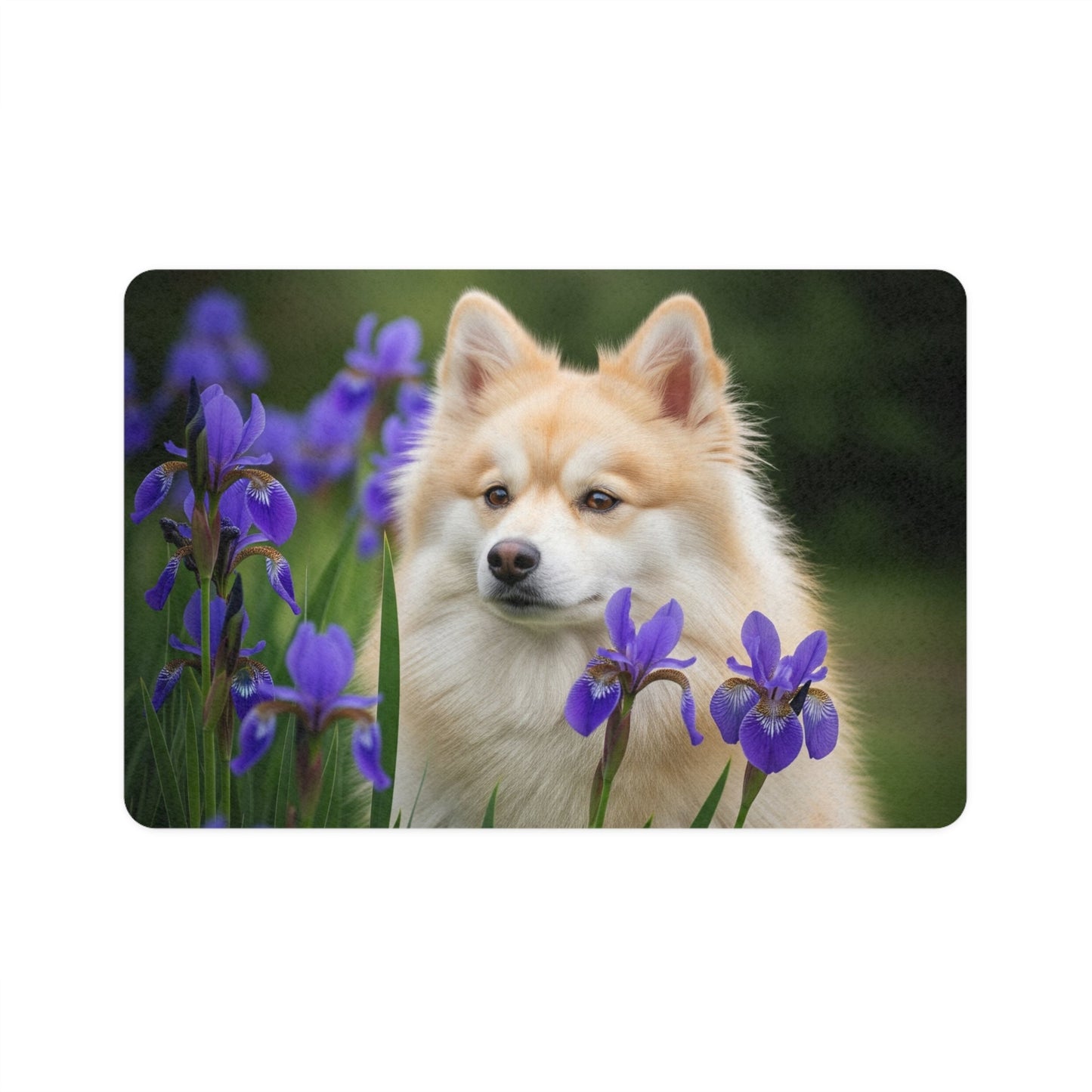 Non-Slip Pet Food Mat – Waterproof Feeding Mat for Dogs