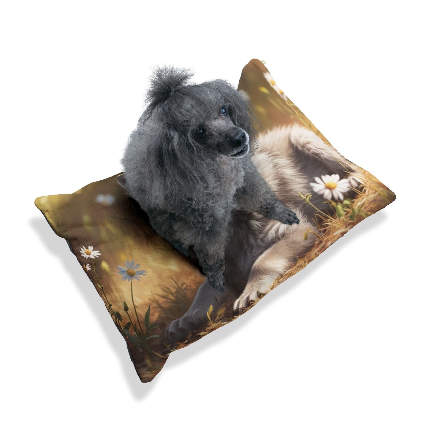Lit pour animaux de compagnie – Lit douillet pour chien, 3 tailles disponibles