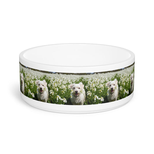 Ceramic Pet Bowl – 16 oz Dog Feeding Bowl