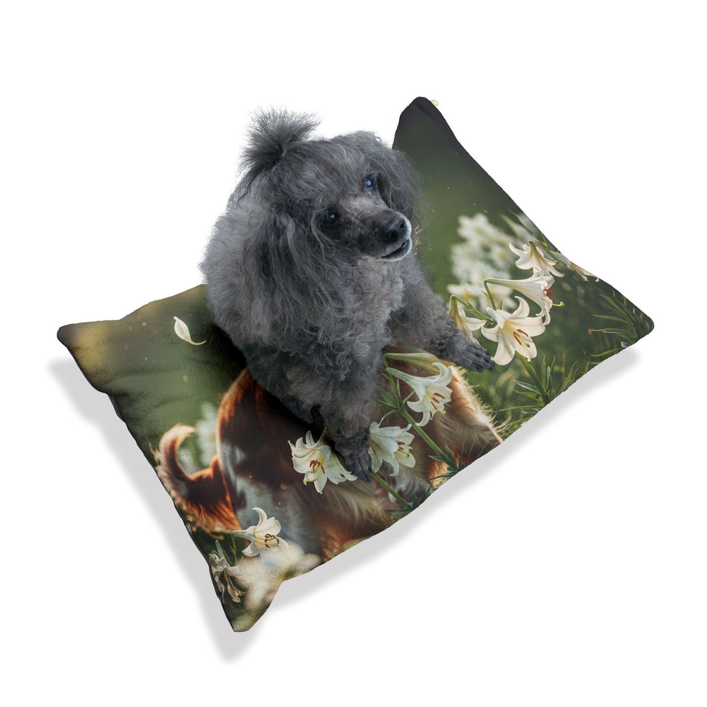 Pet Bed – Plush Dog Bed, 3 Size Options