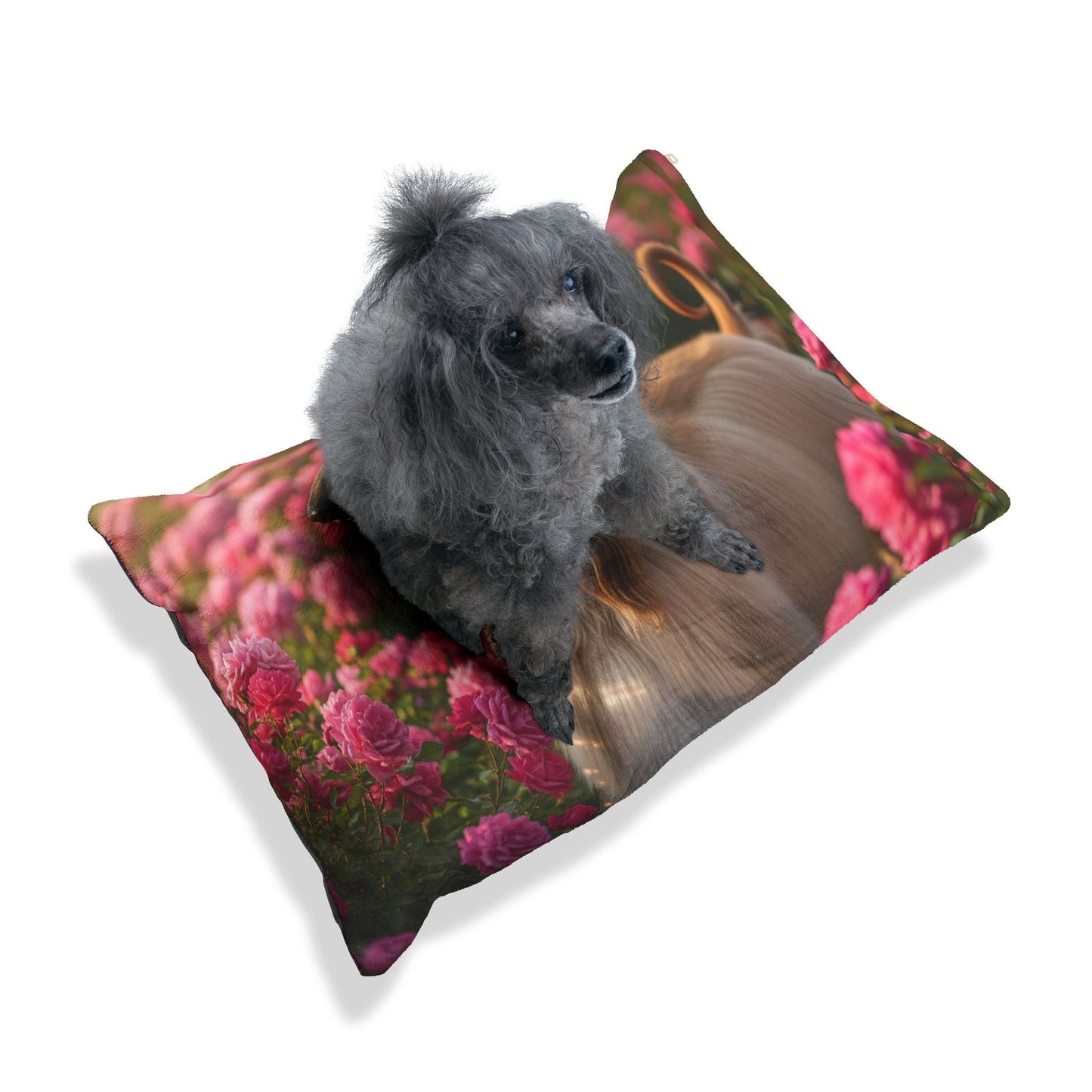 Hundebett – Plüsch-Hundebett, 3 Größenoptionen