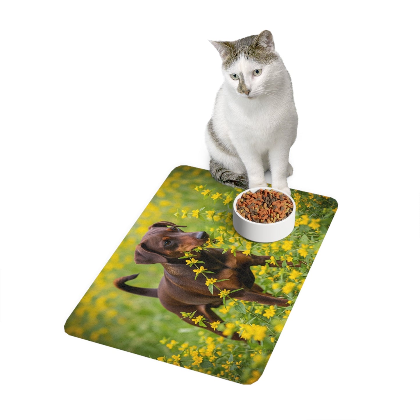 Tapis antidérapant pour animaux de compagnie – Tapis d'alimentation étanche pour chiens