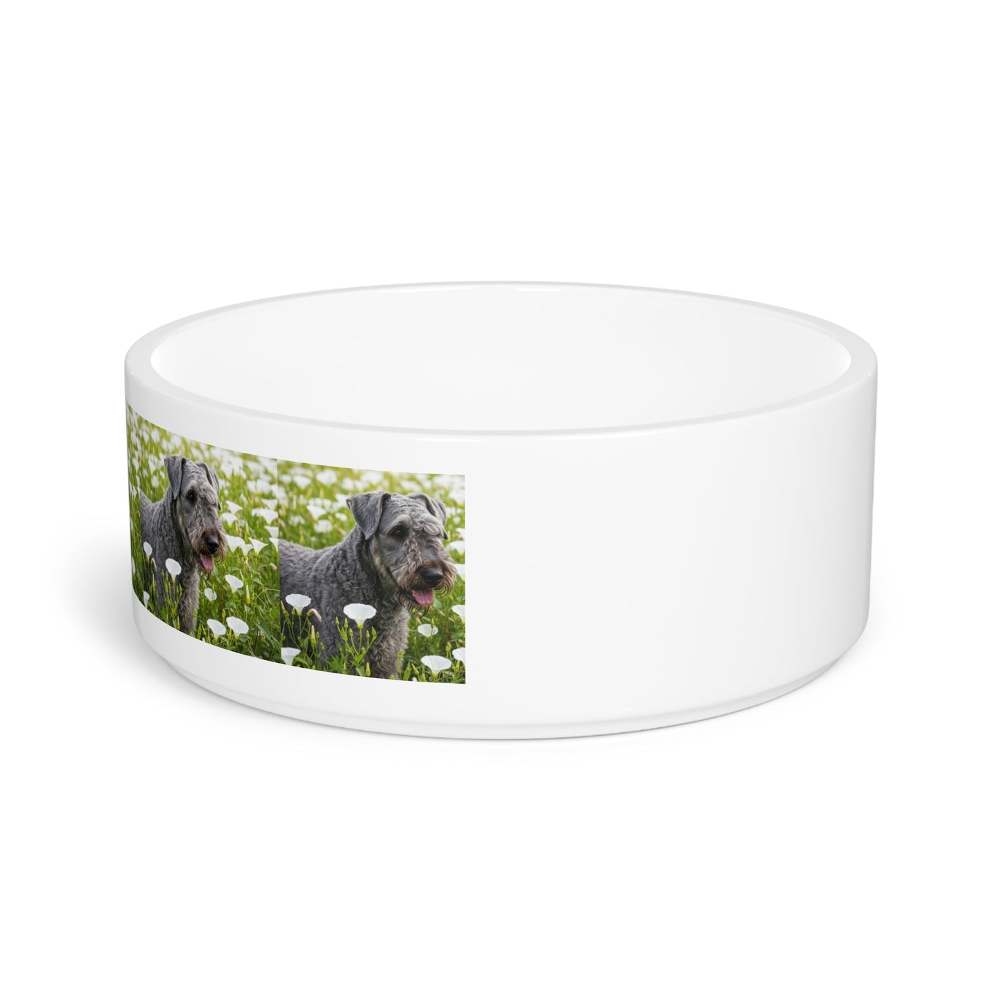 Ceramic Pet Bowl – 16 oz Dog Feeding Bowl