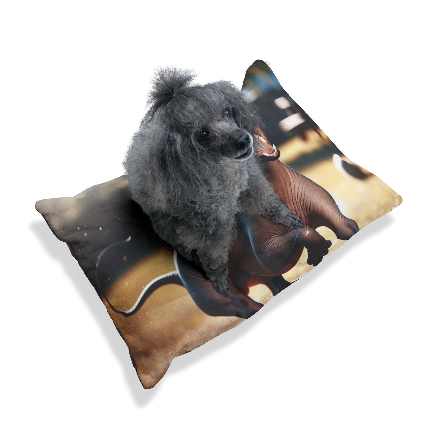 Pet Bed – Plush Dog Bed, 3 Size Options