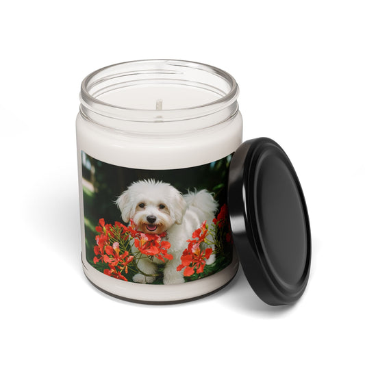 Soy Candle – Scented Jar Candle