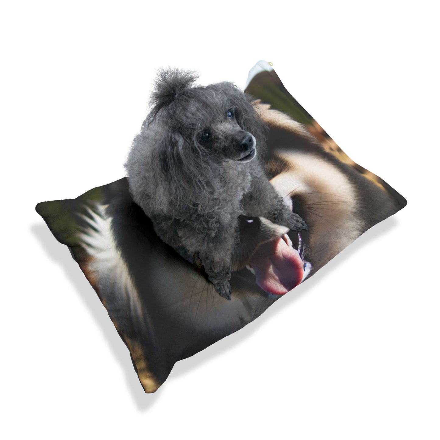Pet Bed – Plush Dog Bed, 3 Size Options