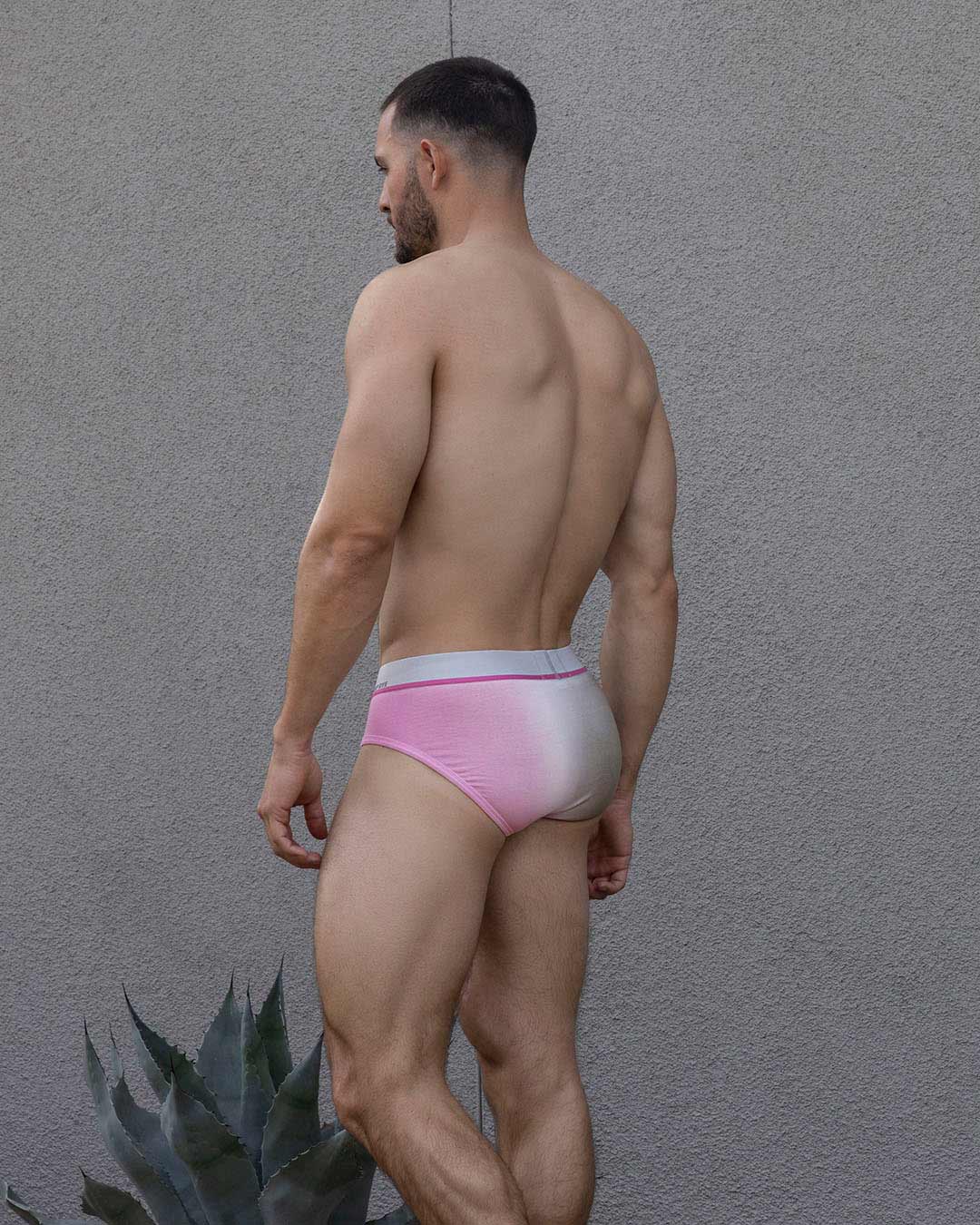 Dip Dye Low Rise Brief Peony Pink