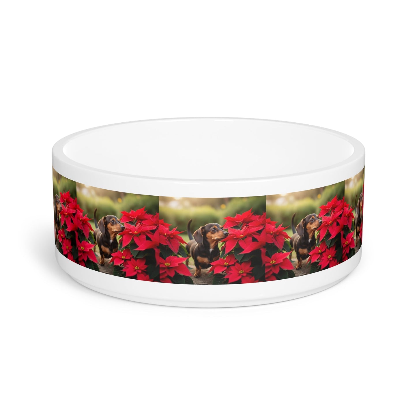 Ceramic Pet Bowl – 16 oz Dog Feeding Bowl