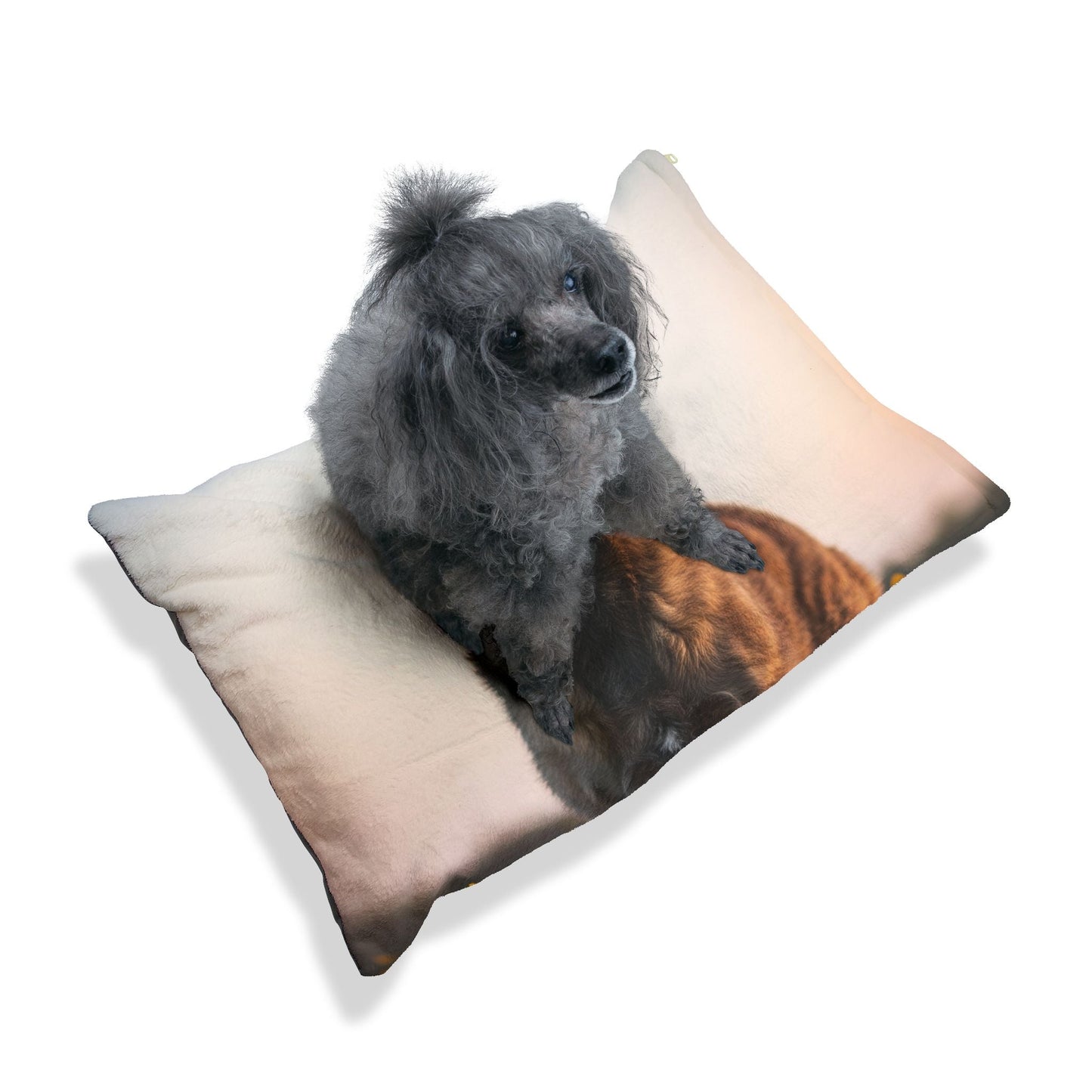 Lit pour animaux de compagnie – Lit douillet pour chien, 3 tailles disponibles