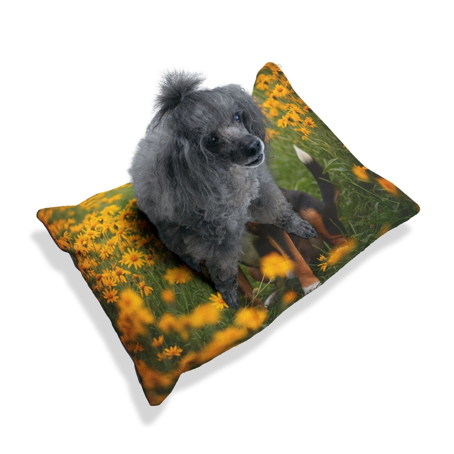 Pet Bed – Plush Dog Bed, 3 Size Options