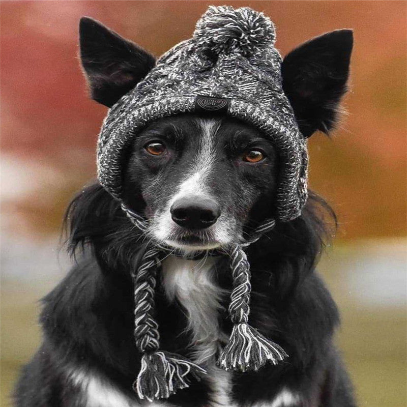 Pet dog autumn and winter woolen hat