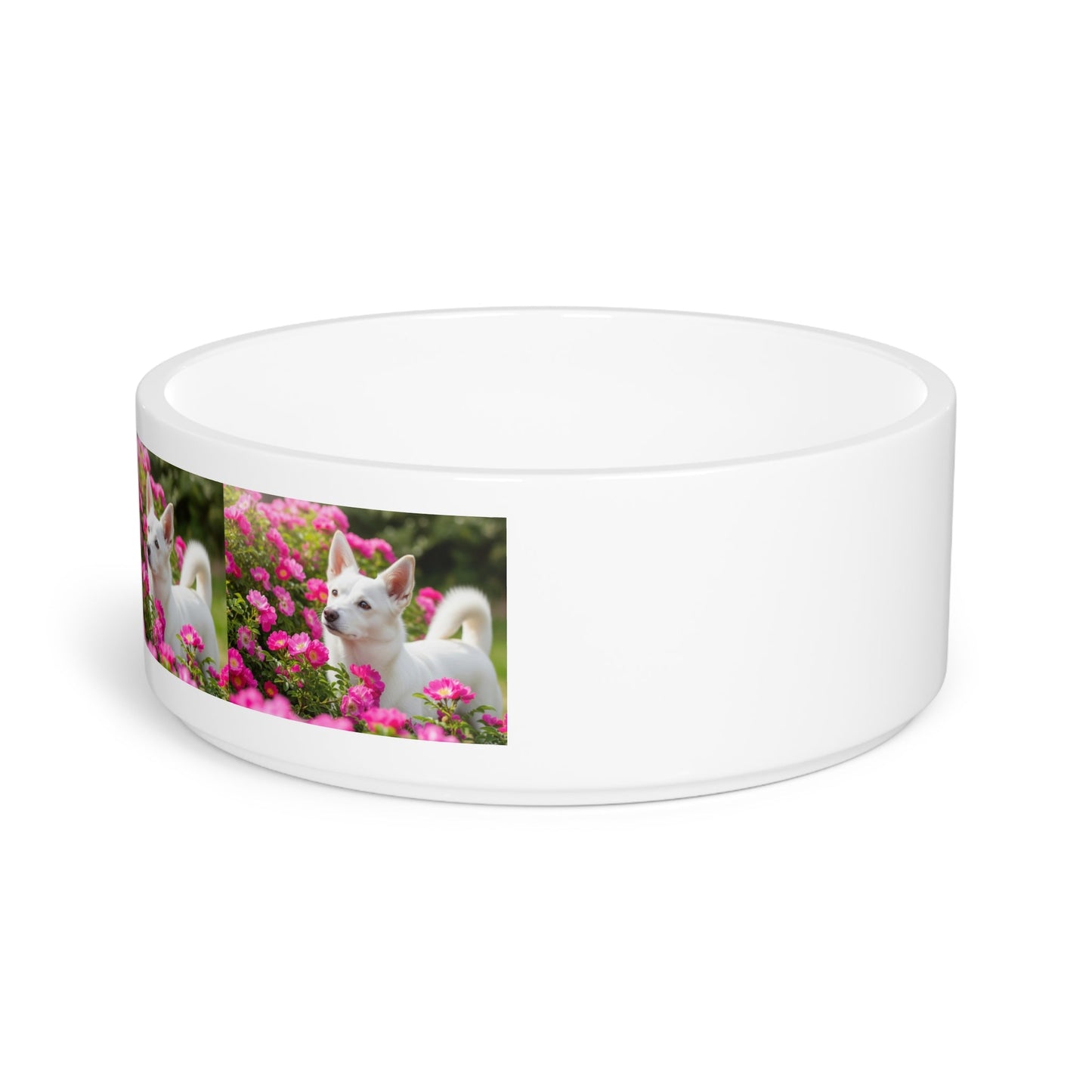 Ceramic Pet Bowl – 16 oz Dog Feeding Bowl