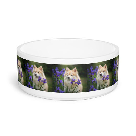 Ceramic Pet Bowl – 16 oz Dog Feeding Bowl