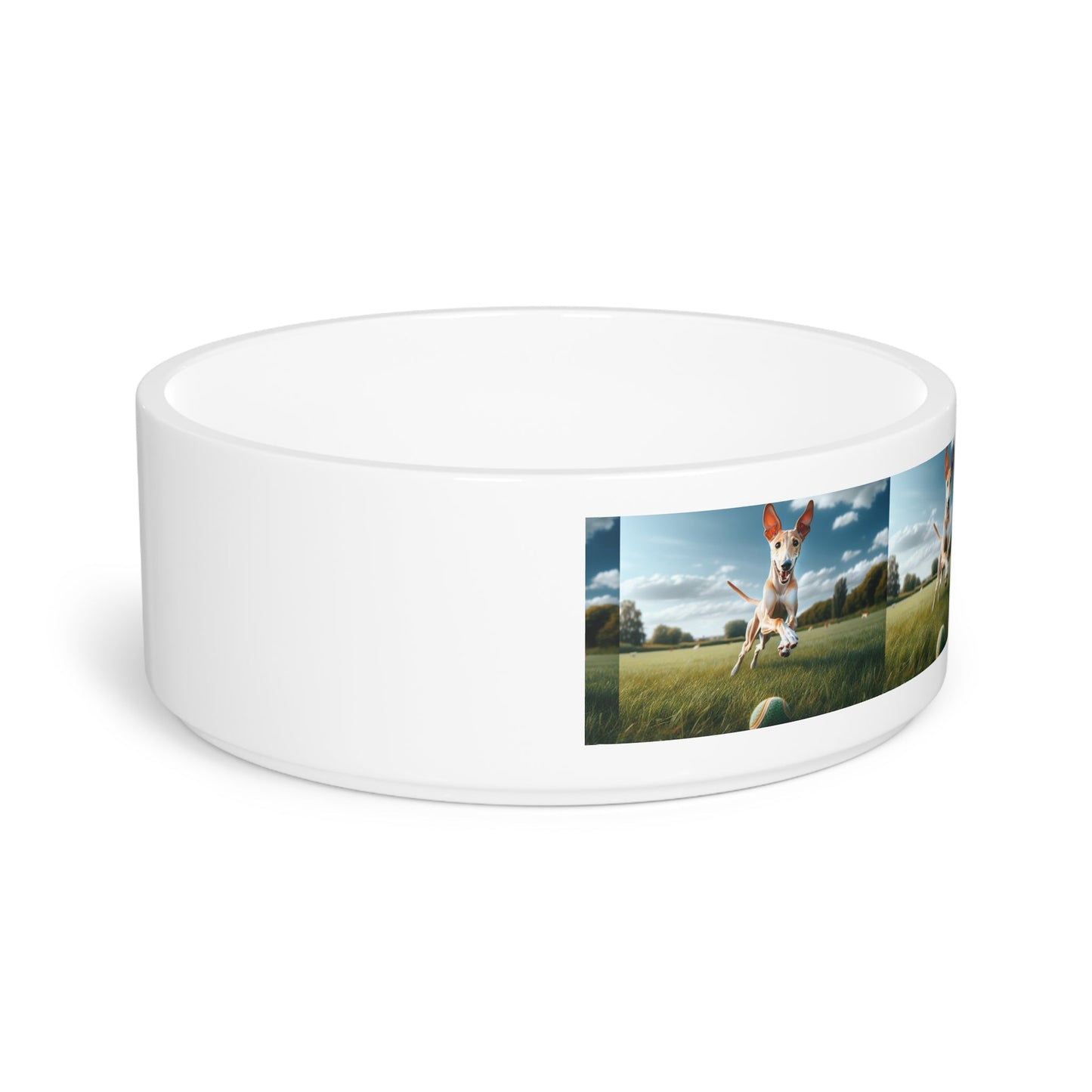 Ceramic Pet Bowl – 16 oz Dog Feeding Bowl