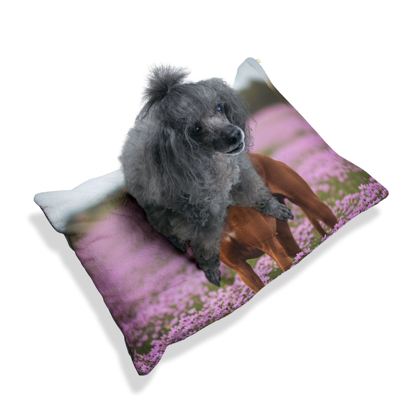 Pet Bed – Plush Dog Bed, 3 Size Options