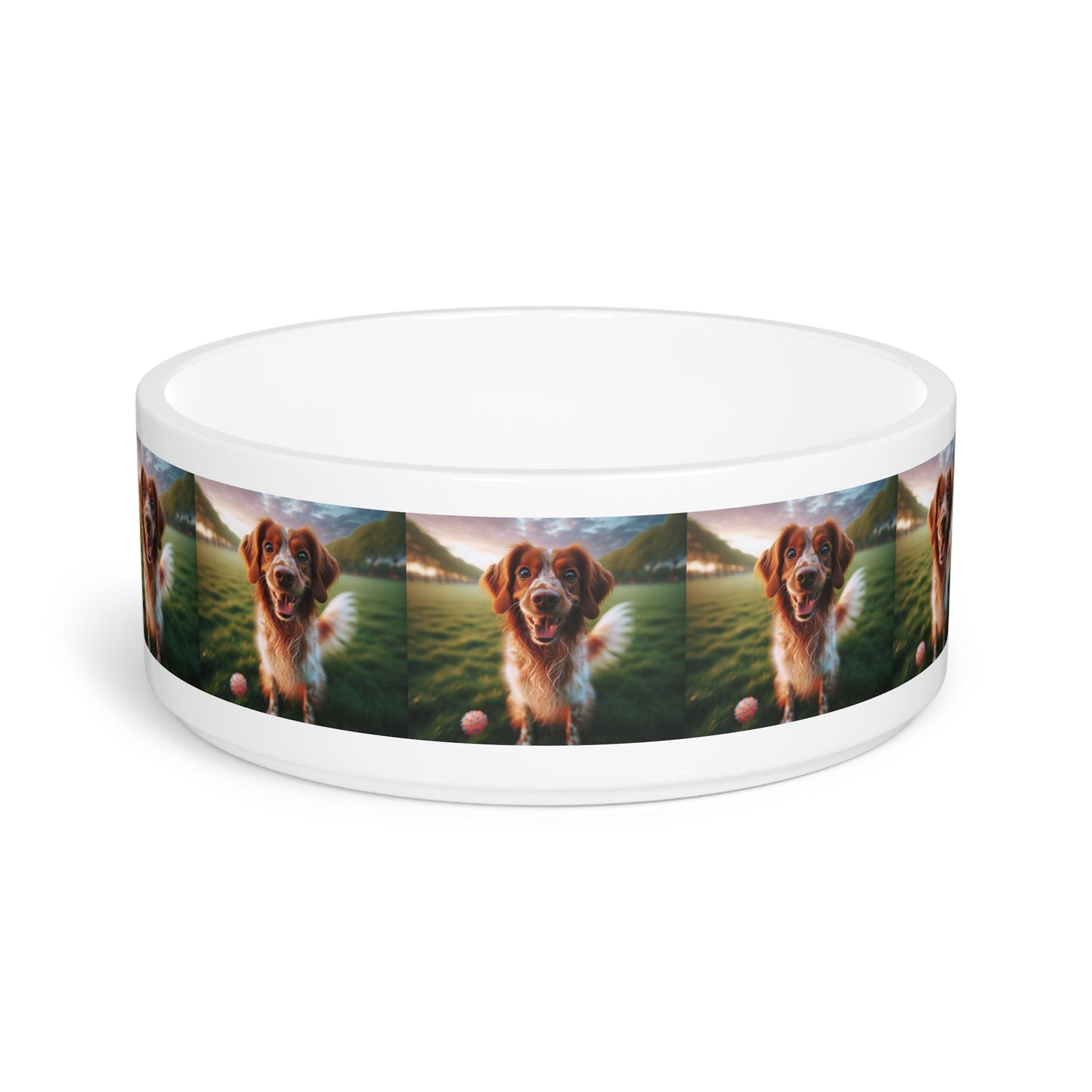 Ceramic Pet Bowl – 16 oz Dog Feeding Bowl