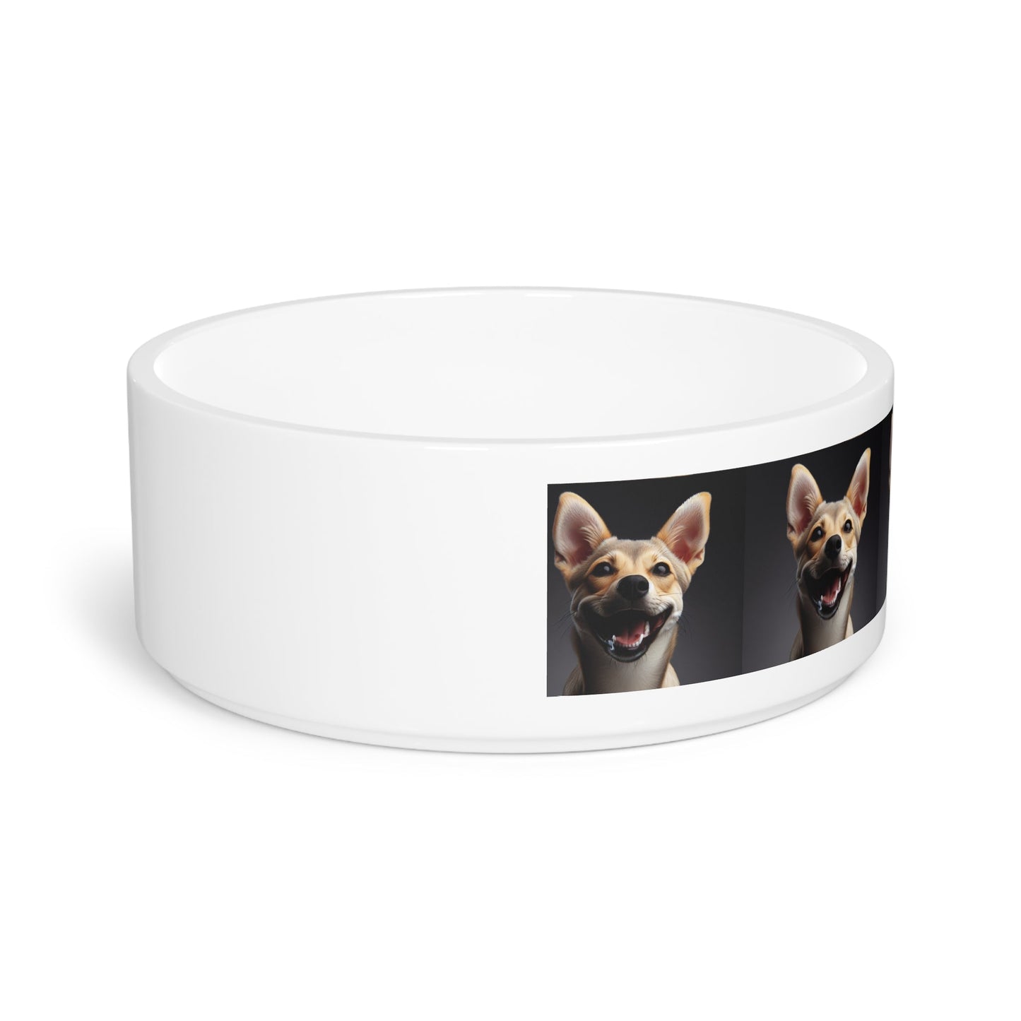 Ceramic Pet Bowl – 16 oz Dog Feeding Bowl