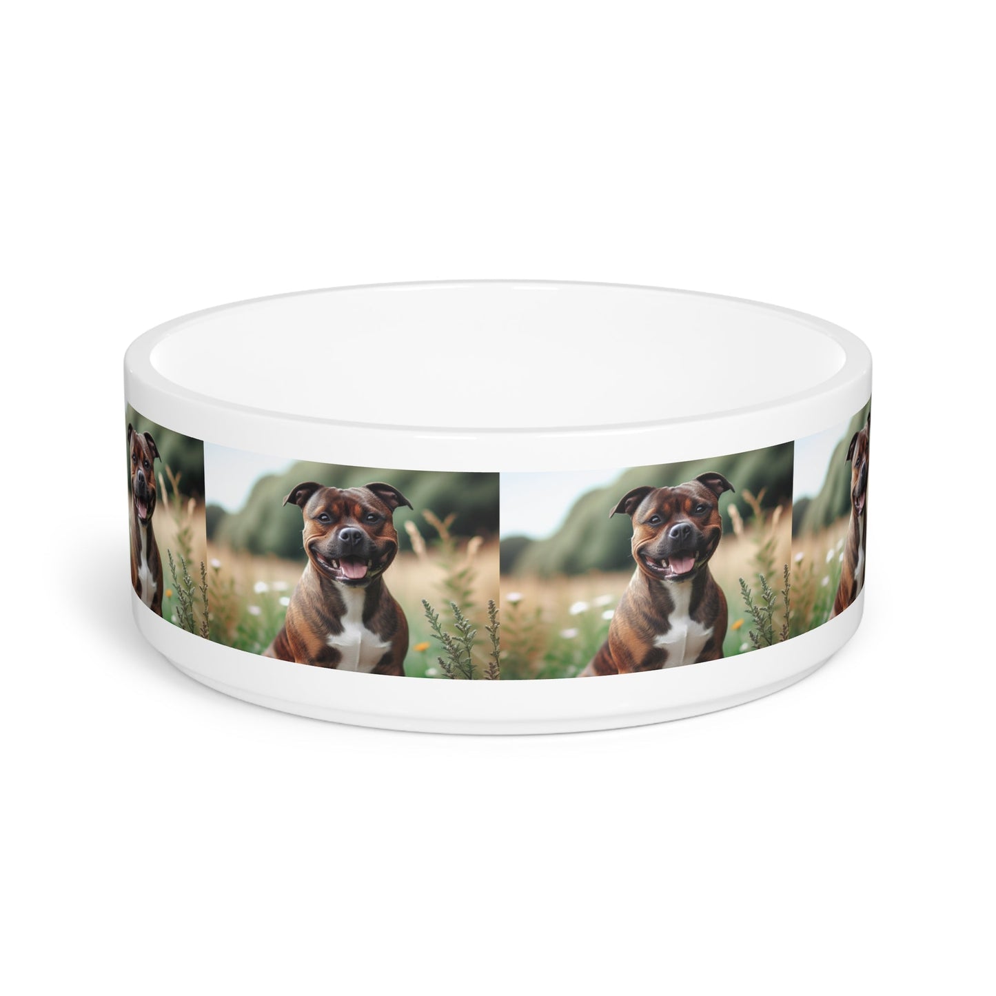 Ceramic Pet Bowl – 16 oz Dog Feeding Bowl