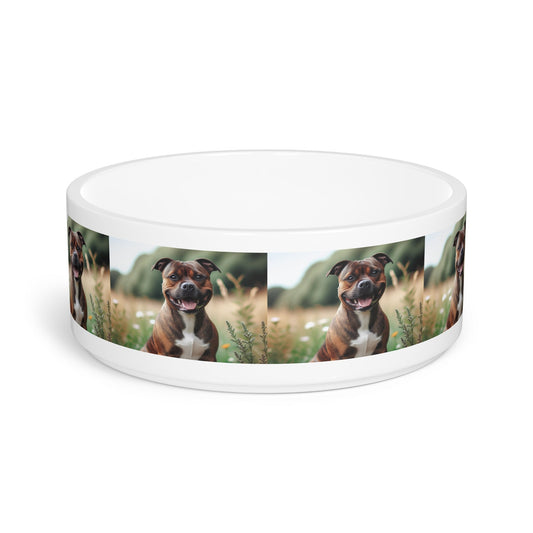 Ceramic Pet Bowl – 16 oz Dog Feeding Bowl