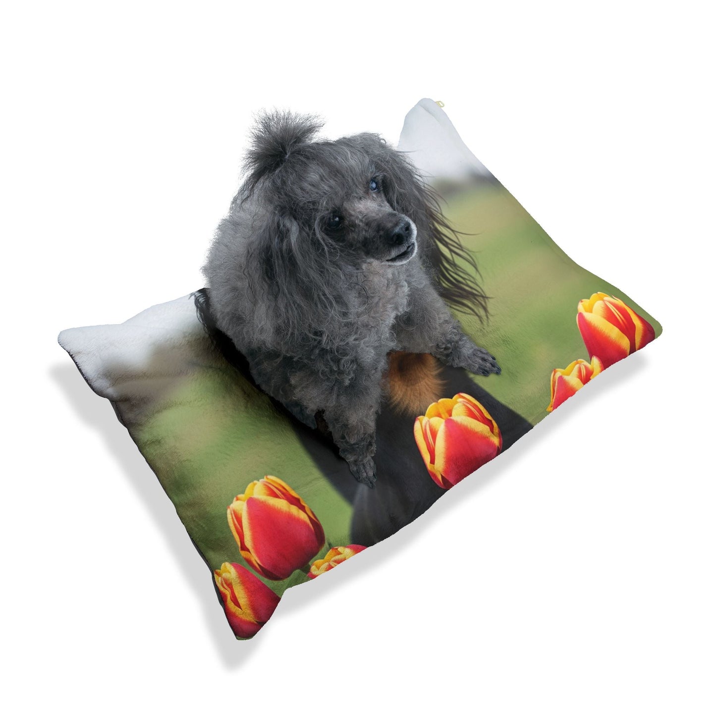 Lit pour animaux – Lit moelleux pour chien, 3 tailles disponibles