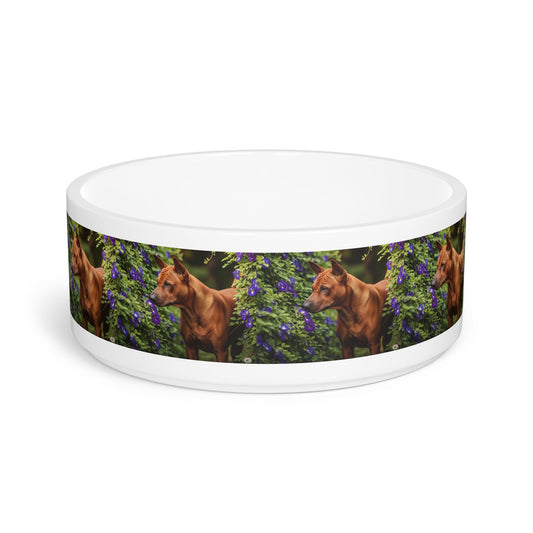 Ceramic Pet Bowl – 16 oz Dog Feeding Bowl