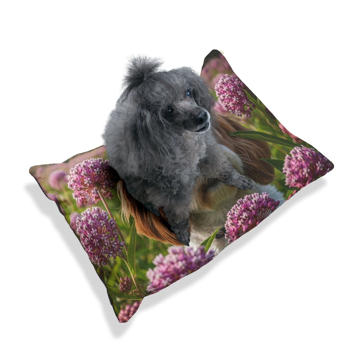 Lit pour animaux de compagnie – Lit douillet pour chien, 3 tailles disponibles
