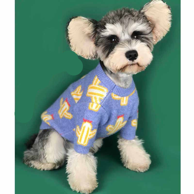 Pet cactus sweater