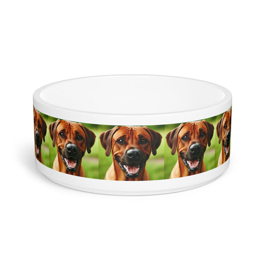 Ceramic Pet Bowl – 16 oz Dog Feeding Bowl