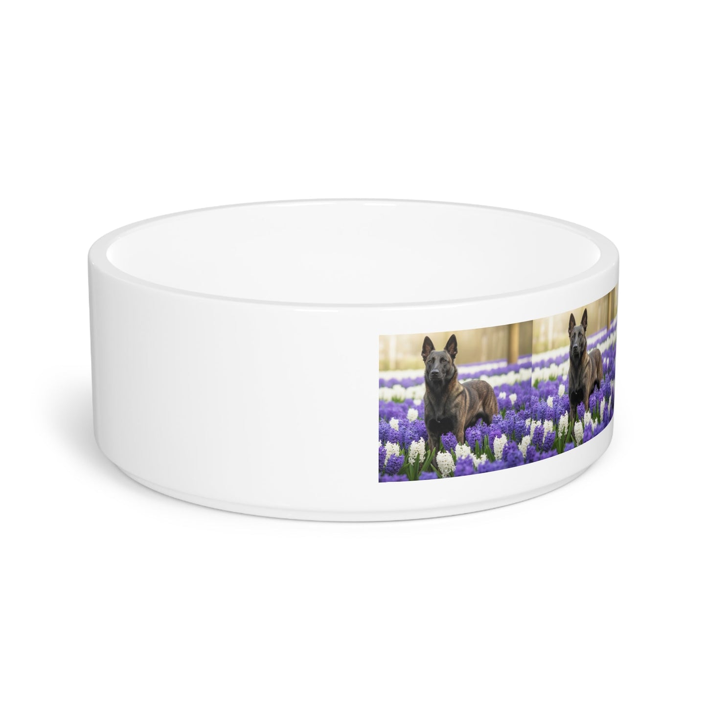 Ceramic Pet Bowl – 16 oz Dog Feeding Bowl