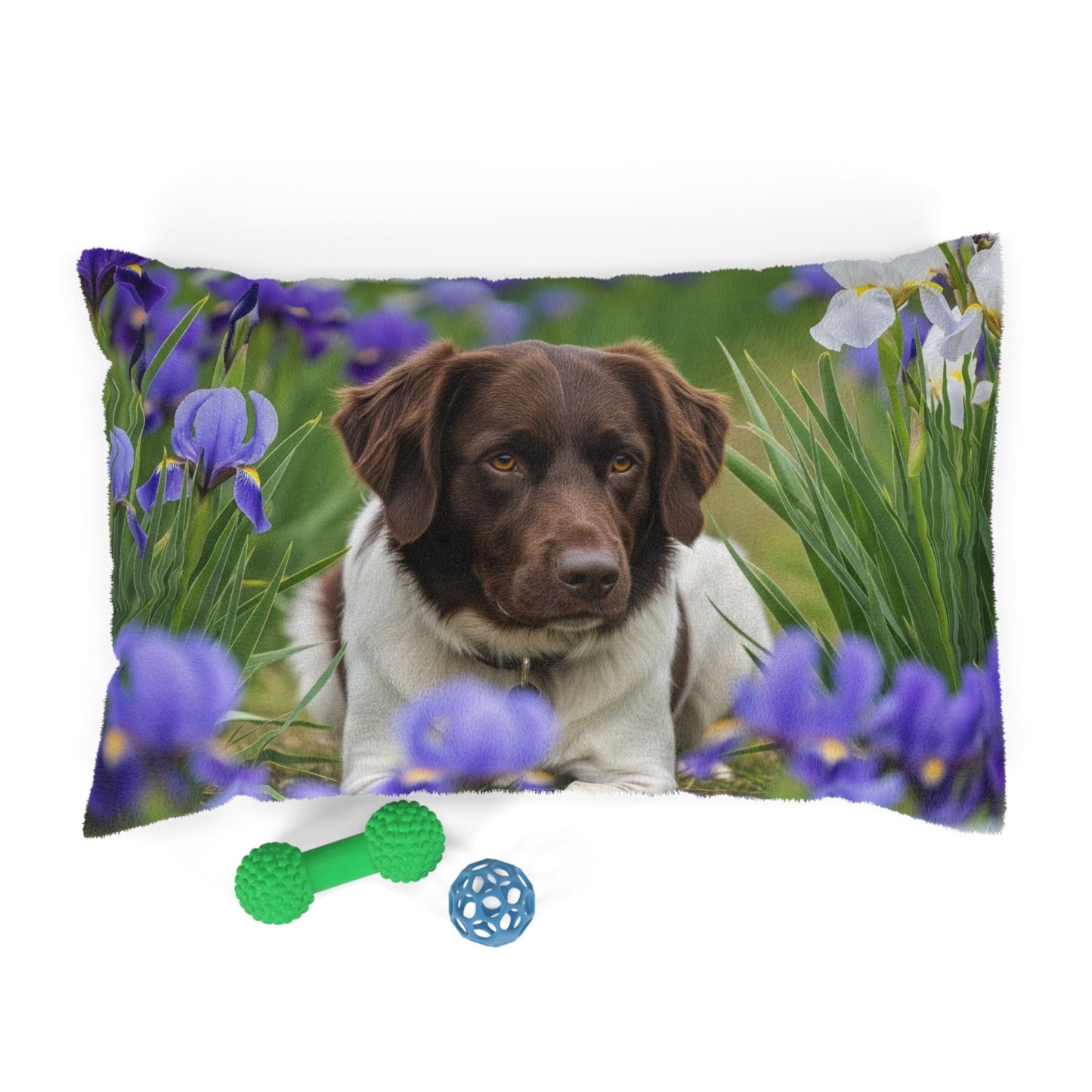 Lit pour animaux de compagnie – Lit douillet pour chien, 3 tailles disponibles