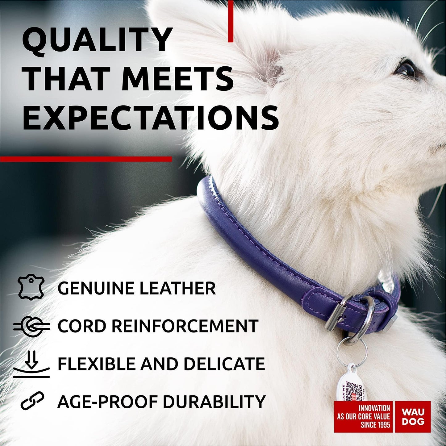 Purple Ultra Soft Rolled Leather Dog Collar 10-13 inch for Small Dogs Soft Padded Dog Collars for Medium Dogs Puppy Collars for Large Breed Dogs Male and Female Dog Collar