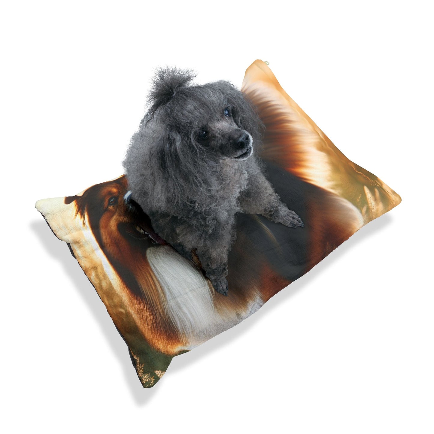 Lit pour animaux de compagnie – Lit douillet pour chien, 3 tailles disponibles