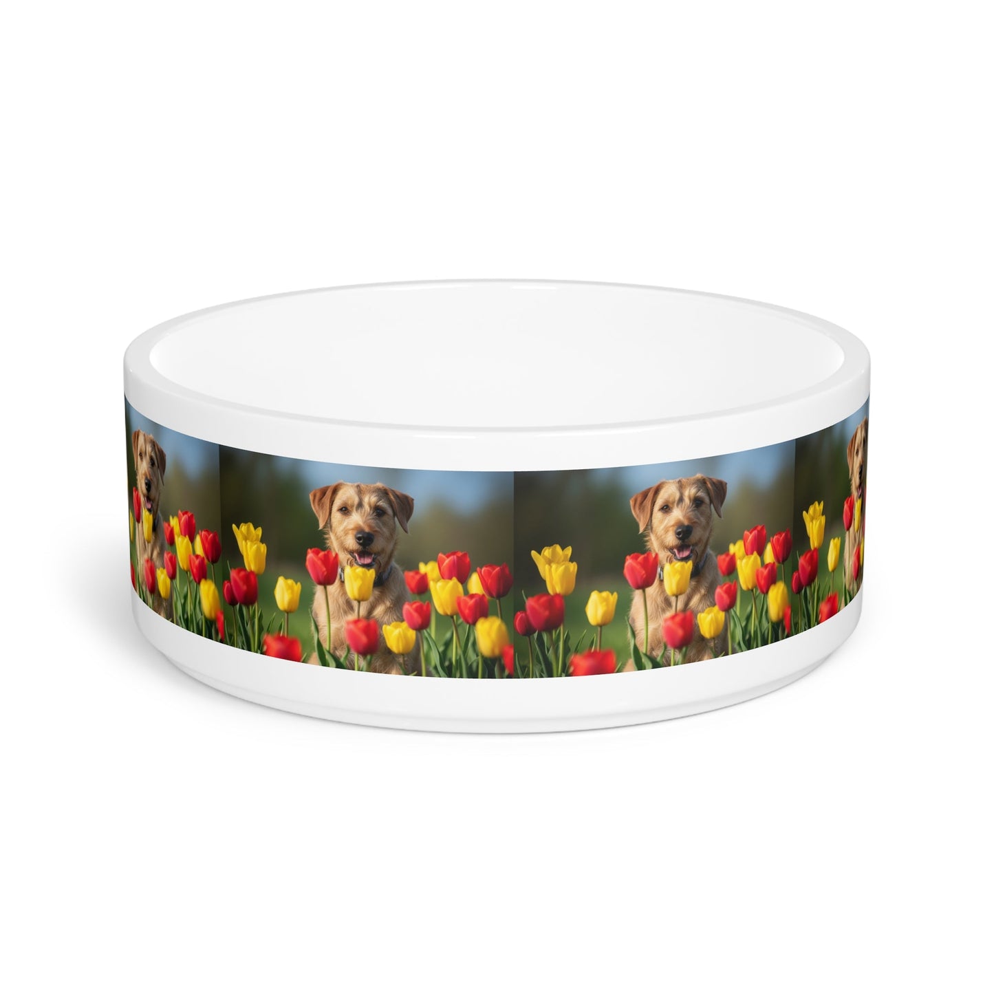 Gamelle en céramique pour animaux de compagnie – Gamelle de 47 cl pour chien