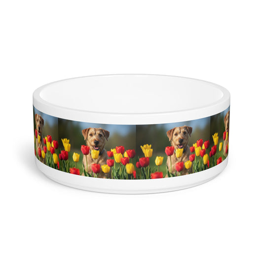 Ceramic Pet Bowl – 16 oz Dog Feeding Bowl